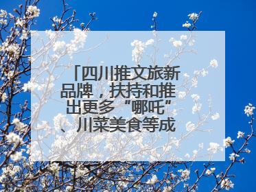 四川推文旅新品牌，扶持和推出更多“哪吒”、川菜美食等成“吸睛点”
