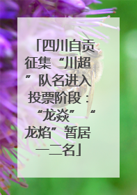 四川自贡征集“川超”队名进入投票阶段：“龙焱”“龙焰”暂居一二名