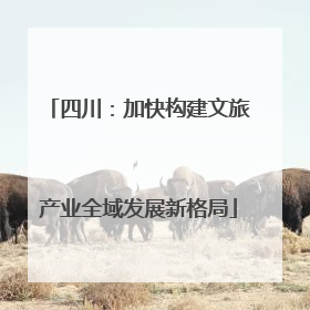 四川：加快构建文旅产业全域发展新格局