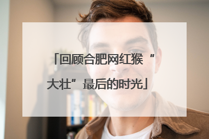 回顾合肥网红猴“大壮”最后的时光