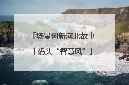 场景创新河北故事丨码头“智慧风”