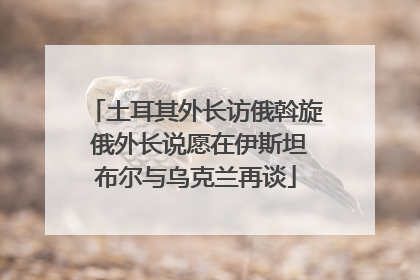 土耳其外长访俄斡旋 俄外长说愿在伊斯坦布尔与乌克兰再谈