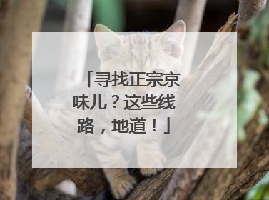 寻找正宗京味儿？这些线路，地道！