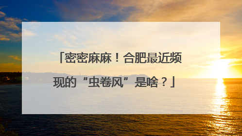 密密麻麻！合肥最近频现的“虫卷风”是啥？