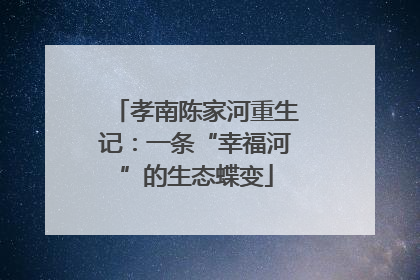 孝南陈家河重生记：一条“幸福河”的生态蝶变