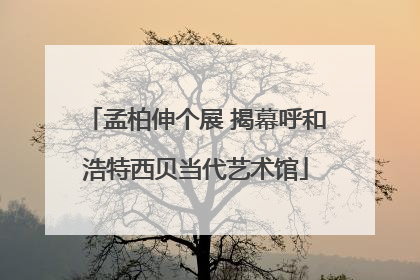 孟柏伸个展 揭幕呼和浩特西贝当代艺术馆