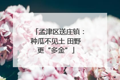 孟津区送庄镇：种瓜不见土 田野更“多金”