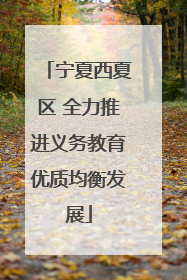 宁夏西夏区 全力推进义务教育优质均衡发展