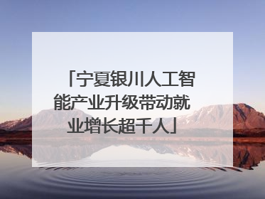 宁夏银川人工智能产业升级带动就业增长超千人