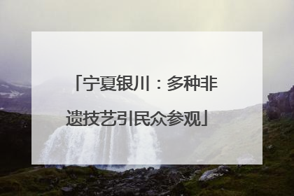 宁夏银川：多种非遗技艺引民众参观
