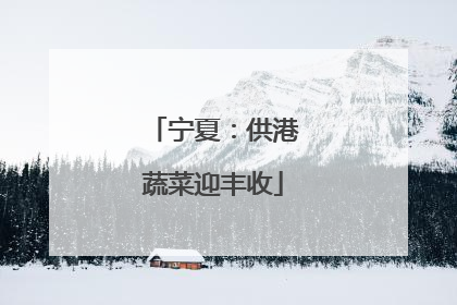 宁夏：供港蔬菜迎丰收
