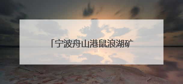宁波舟山港鼠浪湖矿石中转码头矿石堆场巡检进入“无人时代”