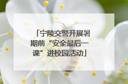 宁陵交警开展暑期前“安全最后一课”进校园活动