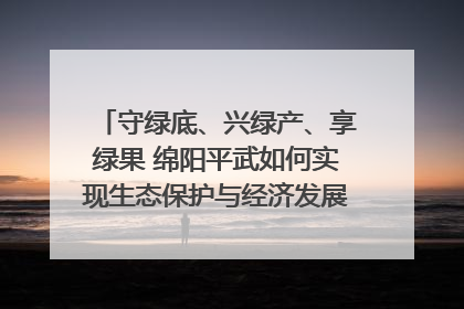 守绿底、兴绿产、享绿果 绵阳平武如何实现生态保护与经济发展双赢？｜新闻发布最前线·深一度