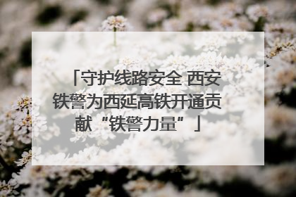 守护线路安全 西安铁警为西延高铁开通贡献“铁警力量”