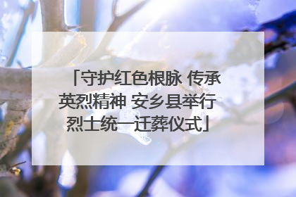 守护红色根脉 传承英烈精神 安乡县举行烈士统一迁葬仪式