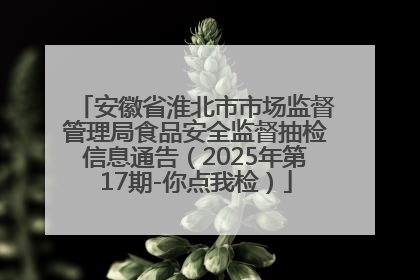 安徽省淮北市市场监督管理局食品安全监督抽检信息通告（2025年第17期-你点我检）