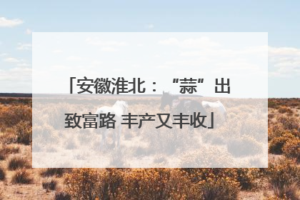 安徽淮北：“蒜”出致富路 丰产又丰收