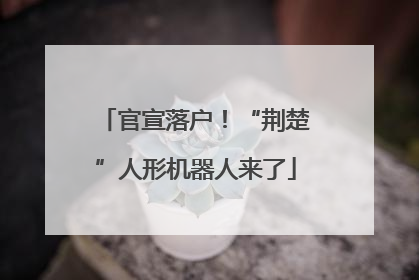 官宣落户！“荆楚”人形机器人来了
