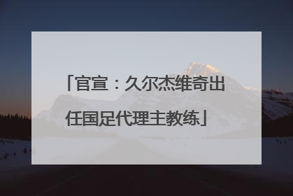 官宣：久尔杰维奇出任国足代理主教练