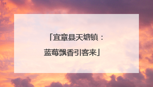 宜章县天塘镇：蓝莓飘香引客来