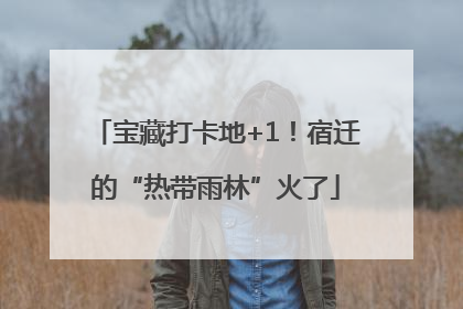 宝藏打卡地+1！宿迁的“热带雨林”火了