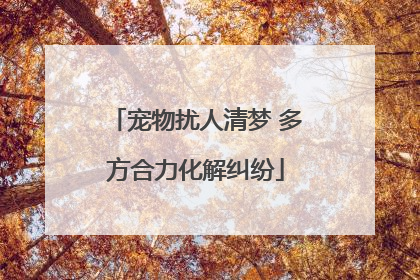 宠物扰人清梦 多方合力化解纠纷
