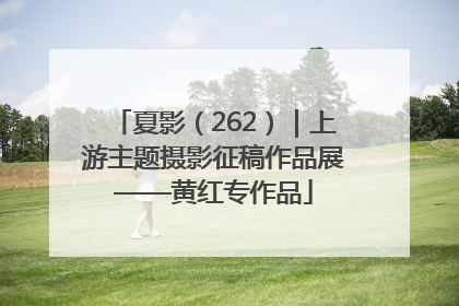 夏影（262）｜上游主题摄影征稿作品展——黄红专作品