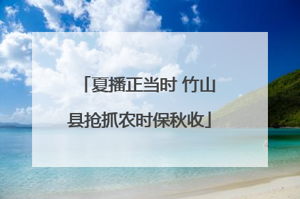 夏播正当时 竹山县抢抓农时保秋收