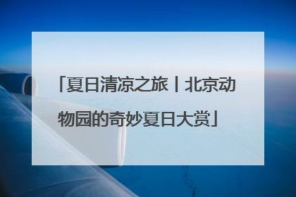 夏日清凉之旅丨北京动物园的奇妙夏日大赏