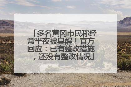 多名黄冈市民称经常半夜被臭醒！官方回应：已有整改措施，还没有整改情况