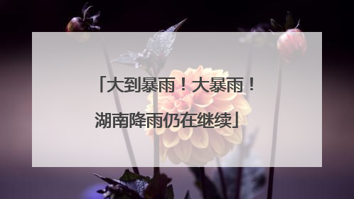 大到暴雨！大暴雨！湖南降雨仍在继续