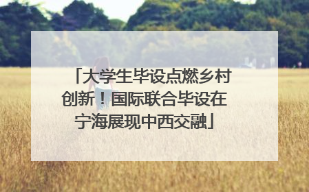 大学生毕设点燃乡村创新！国际联合毕设在宁海展现中西交融