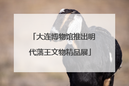 大连博物馆推出明代藩王文物精品展