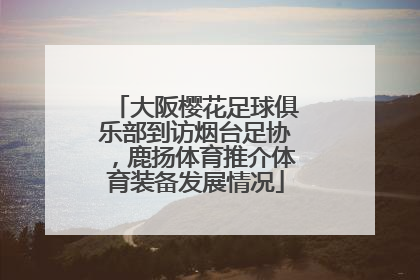 大阪樱花足球俱乐部到访烟台足协，鹿扬体育推介体育装备发展情况