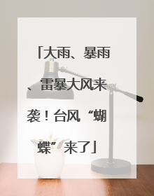 大雨、暴雨、雷暴大风来袭！台风“蝴蝶”来了