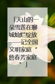 天山的一朵雪莲在聊城灿烂绽放——记全国文明家庭“詹春芳家庭”