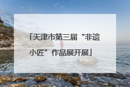 天津市第三届“非遗小匠”作品展开展