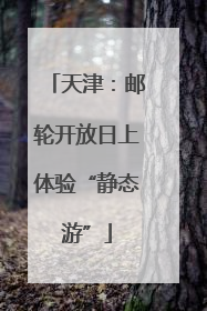 天津：邮轮开放日上体验“静态游”