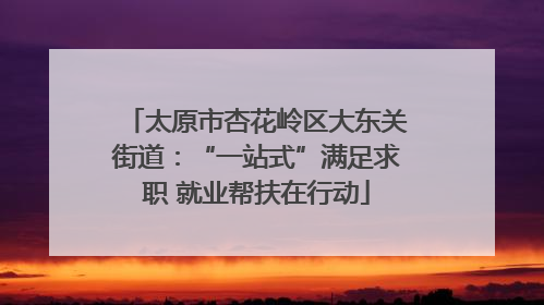 太原市杏花岭区大东关街道：“一站式”满足求职 就业帮扶在行动