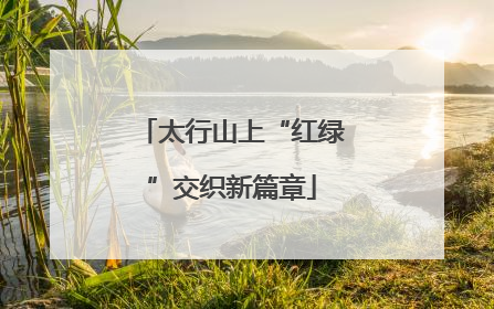 太行山上“红绿”交织新篇章