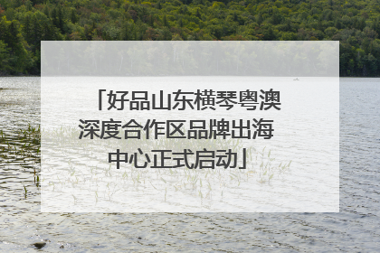 好品山东横琴粤澳深度合作区品牌出海中心正式启动