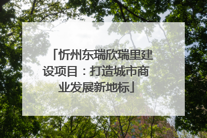 忻州东瑞欣瑞里建设项目：打造城市商业发展新地标