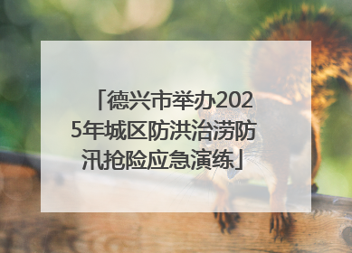 德兴市举办2025年城区防洪治涝防汛抢险应急演练