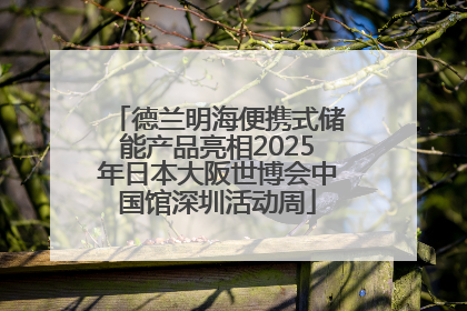 德兰明海便携式储能产品亮相2025年日本大阪世博会中国馆深圳活动周