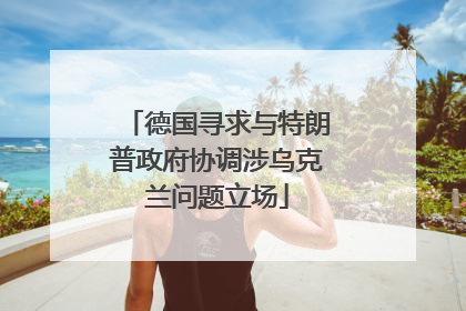 德国寻求与特朗普政府协调涉乌克兰问题立场