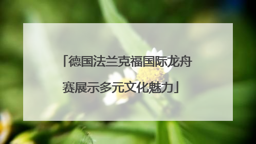 德国法兰克福国际龙舟赛展示多元文化魅力