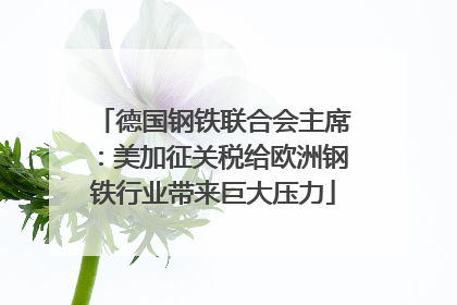 德国钢铁联合会主席：美加征关税给欧洲钢铁行业带来巨大压力