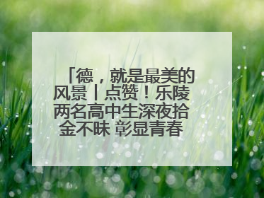 德，就是最美的风景丨点赞！乐陵两名高中生深夜拾金不昧 彰显青春正能量