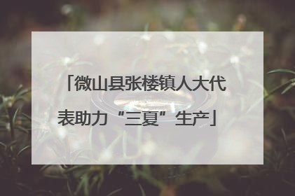 微山县张楼镇人大代表助力“三夏”生产